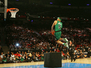 雄鹿VS湖 雄鹿VS湖